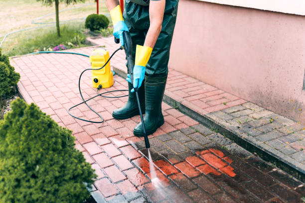 Trusted June Park, FL Pressure washing Experts